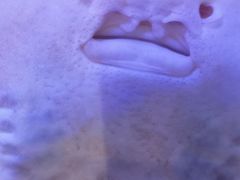 -欢乐海岸海洋奇梦馆