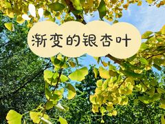 -北坞公园