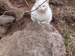 -崂山九水游览区