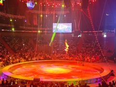 -俄罗斯国家大马戏团