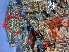 -花乐餐厅(涠洲岛店)