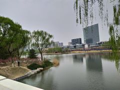 -大兴滨河森林公园