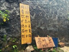 -虎啸峡漂流