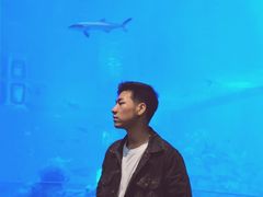 -成都浩海立方海洋公园