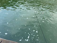 -DGE季风钓虾营地·团建·聚会