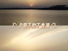 -丁香湖公园