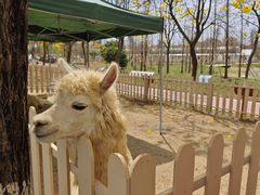 -盈香心动乐园