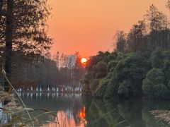 -艾溪湖湿地公园