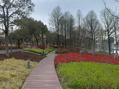 -上海滴水湖皇冠假日酒店