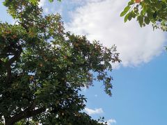 -青州市云门山风景区