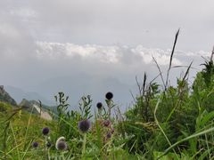 -白草畔自然风景区