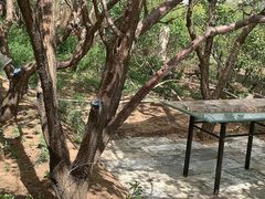 -乌素图国家森林公园