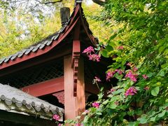 -水濂山森林公园