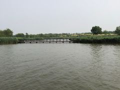 -西青郊野公园