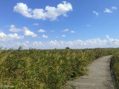 -盐城丹顶鹤湿地生态旅游区
