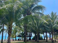 -三亚海棠湾万丽度假酒店