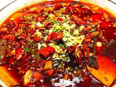 -雲蜀龙阁·金牌水煮鱼(方庄店)