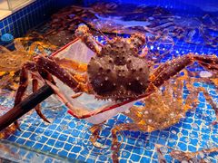 -驻海渔市(置信店)