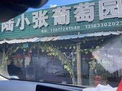 -马陆小张葡萄园农家乐