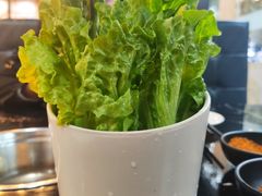 生菜-燚青春泥炉烤肉(东泰店)