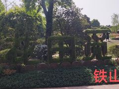 -铁山坪森林公园