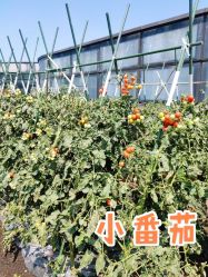 -梦田都市农场(银泰城店)