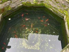 -武当山风景区-太子坡