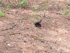 -帽儿山国家森林公园