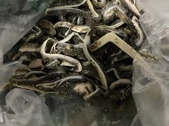 -洪记白水羊头(留学路店)