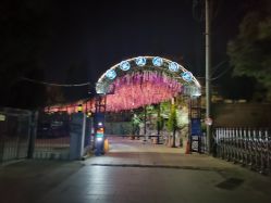 -陶然花园·婚宴