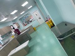 -北京观赏动物医院·24小时大型综合·猫专科·异宠专科
