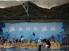 -合肥野生动物园