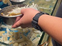 -亚马逊海鲜自助(王府井店)