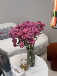 -WENDY·温迪皮肤管理