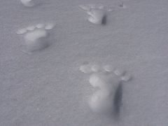 iphone_upload_pic-黄河九曲第一湾