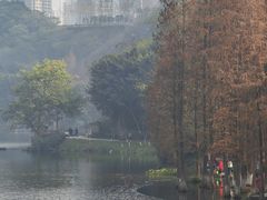 -重庆彩云湖湿地公园