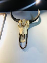 店内环境-怪咖纹身刺青