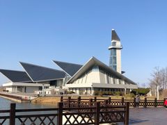 -盐城丹顶鹤湿地生态旅游区