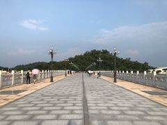 -野狸岛