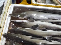 -芦潮港集贸市场