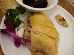-新白鹿餐厅(龙游路店)
