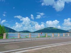 -芒洲湿地公园