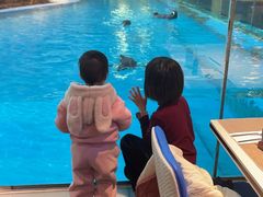 -帝企鹅自助餐厅•儿童岛•真企鹅(长隆企鹅酒店)