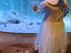 -沈阳海洋探索中心