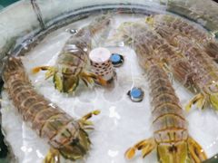 -强记海鲜·大排档(蛇口新街店)