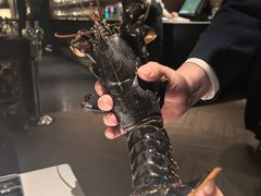 -Oyster Talks 四度蚝法餐厅
