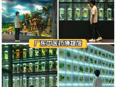 -广东中医药博物馆