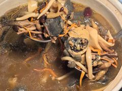-土连锅·现熬养生汤锅(梁家巷店)