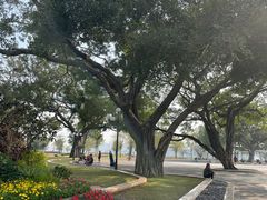 -洲头咀公园