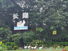 -广州长隆飞鸟乐园